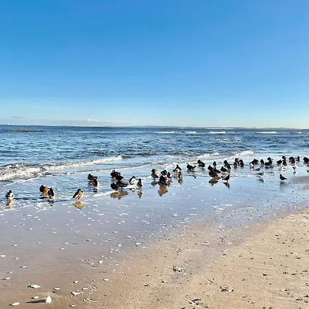 Min Krup Unner Im Hofhaus * Heringsdorf (Usedom)
